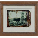 Peter Beard (New York 1938 - 2020) - photo 2