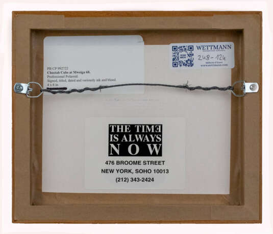 Peter Beard (New York 1938 - 2020) - photo 3 Peter Beard (New York 1938 - 2020) - photo 3