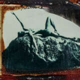 Peter Beard (New York 1938 - 2020) - Foto 1