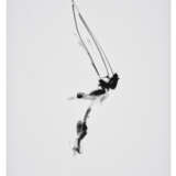 DAN FLAVIN (1933-1996) - фото 2