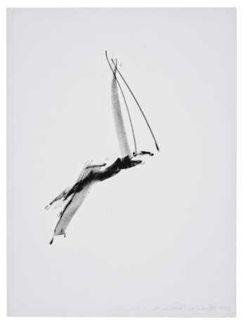 DAN FLAVIN (1933-1996) - фото 3