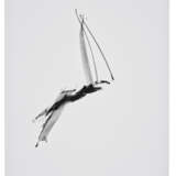 DAN FLAVIN (1933-1996) - фото 3