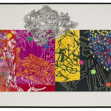 NANCY GRAVES (1939-1995) - фото 2