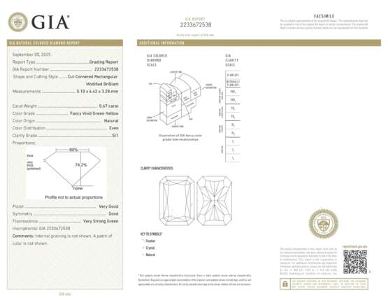 COLOURED DIAMOND AND DIAMOND EARRINGS - photo 2