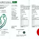 JADEITE BEAD AND DIAMOND NECKLACE - photo 3