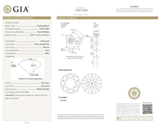 A RARE COLOURED DIAMOND - photo 4