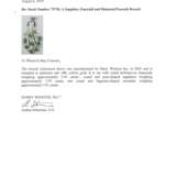 HARRY WINSTON EMERALD, SAPPHIRE AND DIAMOND `PEACOCK` BROOCH - photo 3