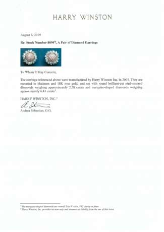 HARRY WINSTON DIAMOND AND COLOURED DIAMOND EARRINGS - photo 2