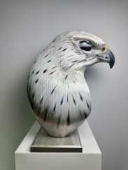 White Gyrfalcon