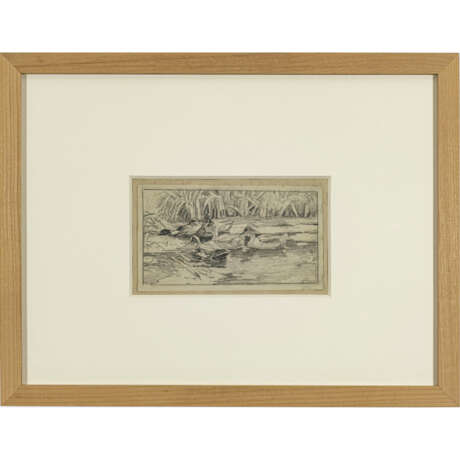 Alexander Koester - photo 3 Alexander Koester - photo 3