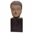 Shakyamuni Buddha head in sandstone, Thailand, Ayutthaya, 17th century - One click purchase