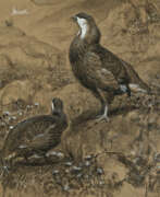 Спортинг арт. JOSEPH WOLF (M&#214;RZ 1820-1899 LONDON)