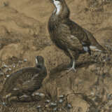 JOSEPH WOLF (M&#214;RZ 1820-1899 LONDON) - photo 1