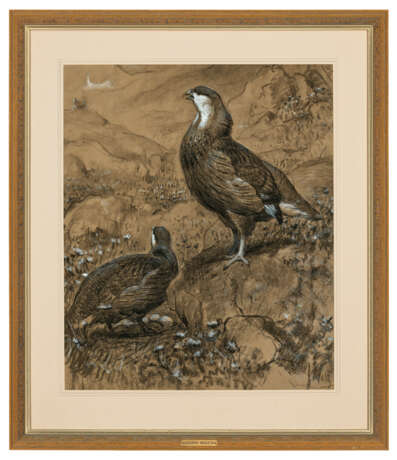 JOSEPH WOLF (M&#214;RZ 1820-1899 LONDON) - photo 2