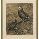 JOSEPH WOLF (M&#214;RZ 1820-1899 LONDON) - photo 2