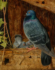 WILLIAM JAMES WEBBE (CORNWALL ?1830-?1911 SURREY)