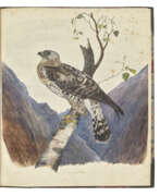 Автографы и письма. NEWTON, Alfred (1829-1907)