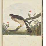 NEWTON, Alfred (1829-1907) - photo 2