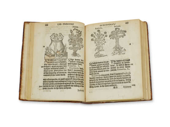 GESNER, Conrad (1516-1565) - фото 1