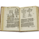 GESNER, Conrad (1516-1565) - фото 1