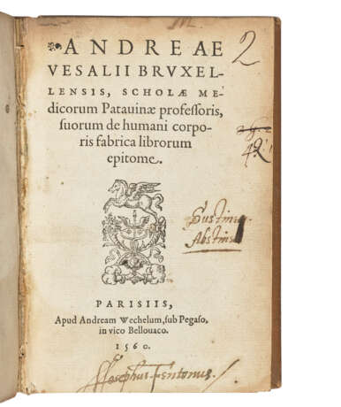 VESALIUS, Andreas (1514-64) - photo 1 VESALIUS, Andreas (1514-64) - photo 1
