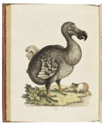 Northern Europe. EDWARDS, George (1694-1773)