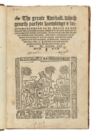 [HERBAL] - фото 1