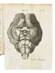 WILLIS, Thomas (1621-1675)