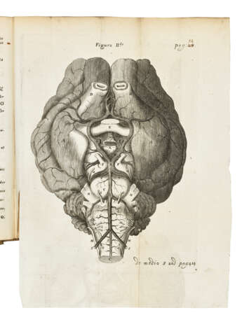 WILLIS, Thomas (1621-1675) - фото 1