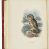 DRESSER, Henry Eeles (1838-1915) - фото 3