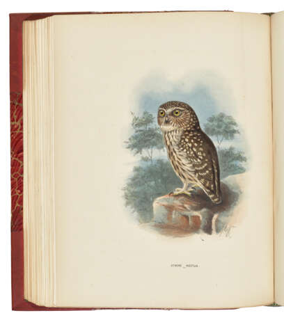 DRESSER, Henry Eeles (1838-1915) - фото 3