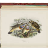 DRESSER, Henry Eeles (1838-1915) - фото 4