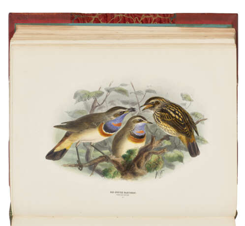 DRESSER, Henry Eeles (1838-1915) - фото 4