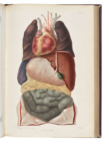 AUVERT, Alexander Ivanovich (d.1865) - photo 1 AUVERT, Alexander Ivanovich (d.1865) - photo 1