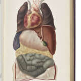 AUVERT, Alexander Ivanovich (d.1865) - photo 1