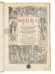 BRUNFELS, Otto (c. 1489-1534)