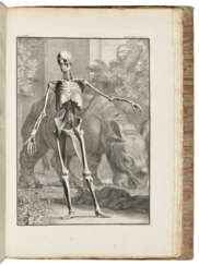 ALBINUS, Bernard Siegfried (1697-1770)