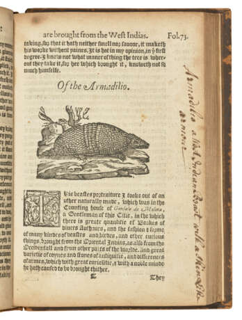 MONARDES, Nicol&#225;s (c.1512-1588) - фото 2