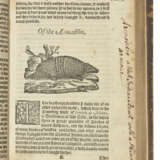 MONARDES, Nicol&#225;s (c.1512-1588) - фото 2