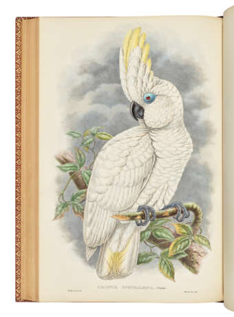 GOULD, John (1804-1881) and Richard Bowdler SHARPE (1847-1909) - фото 2