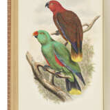 GOULD, John (1804-1881) and Richard Bowdler SHARPE (1847-1909) - фото 3