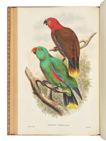 GOULD, John (1804-1881) and Richard Bowdler SHARPE (1847-1909) - фото 3