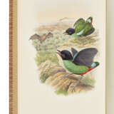 GOULD, John (1804-1881) and Richard Bowdler SHARPE (1847-1909) - фото 4