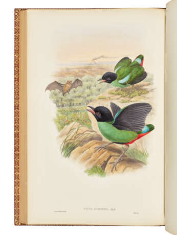 GOULD, John (1804-1881) and Richard Bowdler SHARPE (1847-1909) - фото 4