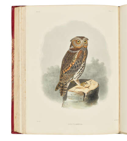 SCLATER, Philip Lutley (1829-1913) and Osbert SALVIN (1835-1898) - фото 1