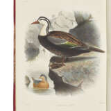 SCLATER, Philip Lutley (1829-1913) and Osbert SALVIN (1835-1898) - фото 3