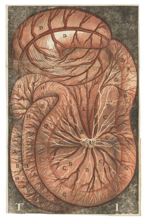 ASELLI, Gaspare (1581-1625) - photo 3