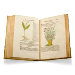 BOCK, Hieronymus (1489?-1554)