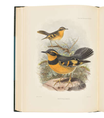 SEEBOHM, Henry (1832-1895) - photo 3