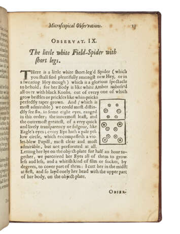 POWER, Henry (1623-1668) - Foto 2